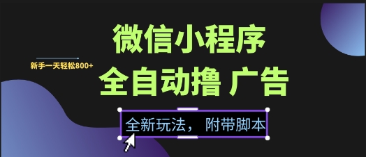 微信小程序全自动撸广告项目，彻底解决没流量的问题，新手一天8张+【揭秘】-轻资本网