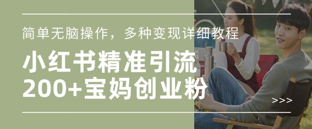 小红书混剪日引200+宝妈创业粉，简单无脑操作，多种变现详细教程-轻资本网