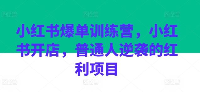 小红书爆单训练营，小红书开店，普通人逆袭的红利项目-轻资本网