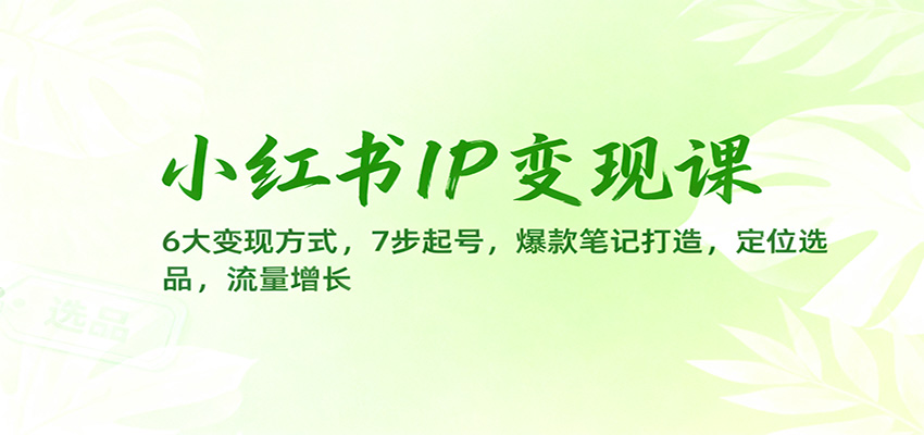 小红书IP变现课：6大变现方式，7步起号，爆款笔记打造，定位选品，流量增长-轻资本网
