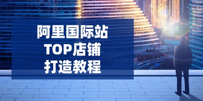 阿里国际站TOP店铺打造教程：涵盖平台到高阶，解决运营难题，提升询盘-轻资本网