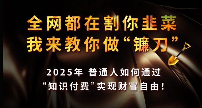 全网都在割你韭菜，我来教你做镰刀，2025年普通人如何通过 知识付费 实现财F自由【揭秘】-轻资本网