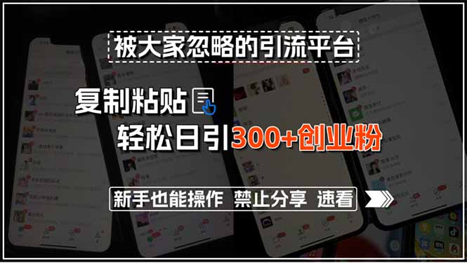被大家忽略的引流平台，复制粘贴轻松日引300+创业粉，新手也能操作，禁...-轻资本网