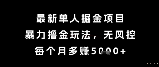 最新单人掘金项目，暴力撸金玩法，无风控，每个月多挣5k+【揭秘】-轻资本网
