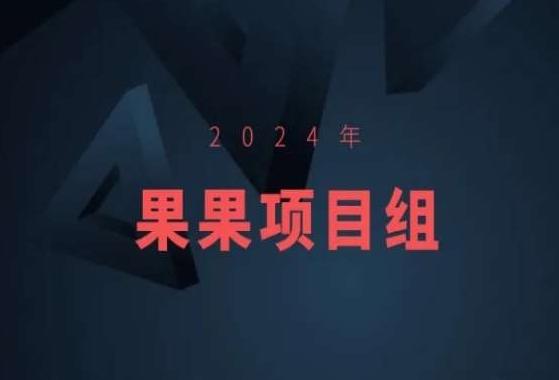 2024年果果项目组项目合集-果果最新项目-轻资本网