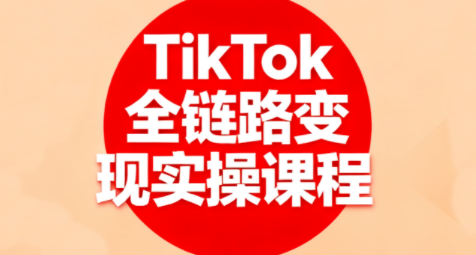 小杨老师·TikTok全链路变现实操课程-轻资本网