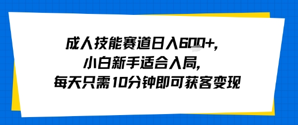 成人技能赛道日入多张，小白新手适合入局，每天只需10分钟即可获客变现-轻资本网