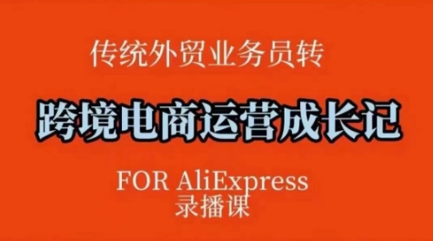 跨境电商速卖通运营课，​运营方法论+后台实操，逻辑清晰-轻资本网