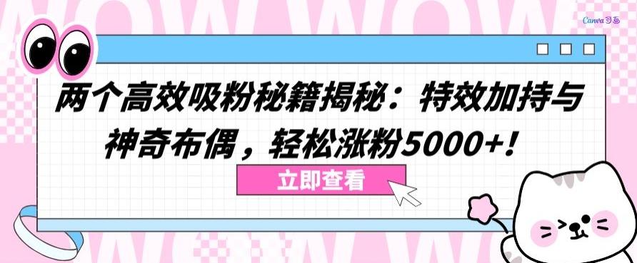 两个高效吸粉秘籍揭秘：特效加持与神奇布偶，轻松涨粉5000+【揭秘】-轻资本网