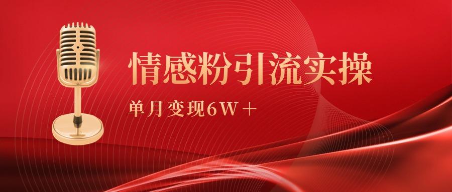 (9473期)单月变现6w+，情感粉引流变现实操课-轻资本网