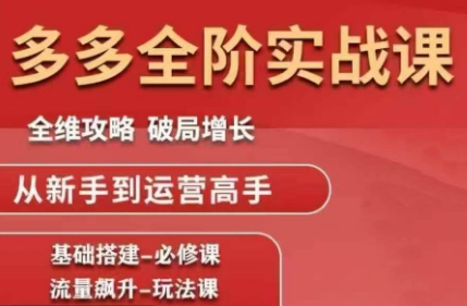 大炮·拼多多全阶实战课程(更新2026)-轻资本网