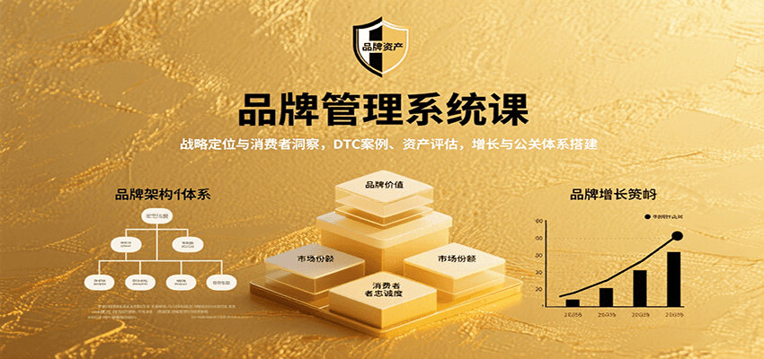 品牌管理系统课：战略定位与消费者洞察，DTC案例、资产评估，增长与公关体系搭建-轻资本网