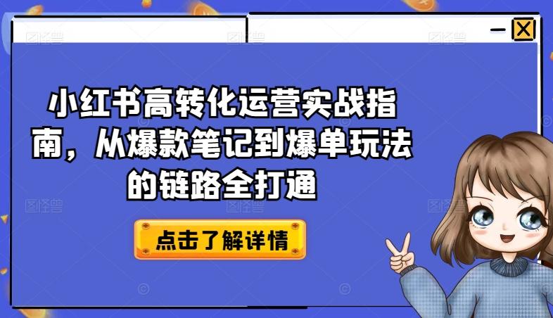 小红书高转化运营实战指南，从爆款笔记到爆单玩法的链路全打通-轻资本网