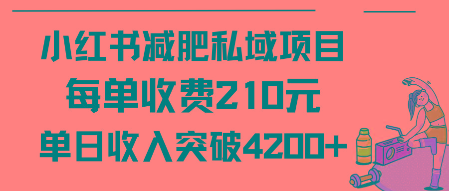 (9466期)小红书减肥私域项目每单收费210元单日成交20单，最高日入4200+-轻资本网