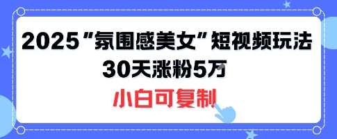 不露脸也能火！2025“氛围感美女”短视频玩法，30天涨粉5W小白可复制-轻资本网