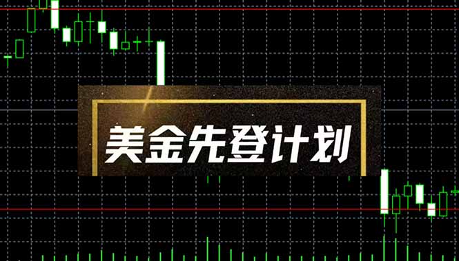 美金先登计划(2025黑马项目-轻资本网