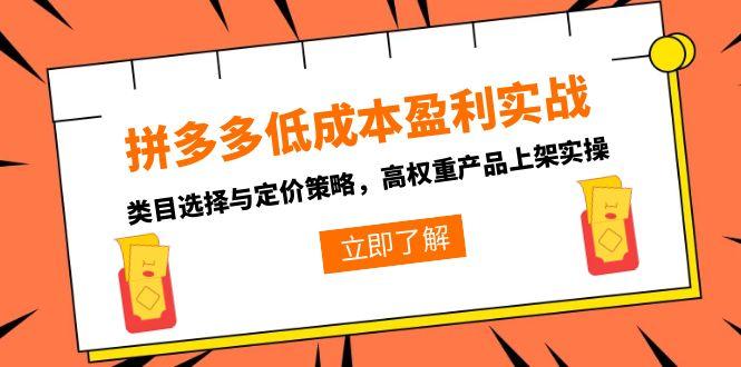 拼多多低成本盈利实战，类目选择与定价策略，高权重产品上架实操-轻资本网