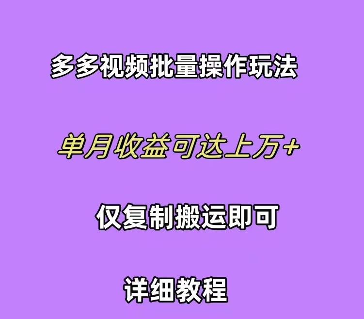 (10029期)拼多多视频带货快速过爆款选品教程 每天轻轻松松赚取三位数佣金 小白必...-轻资本网