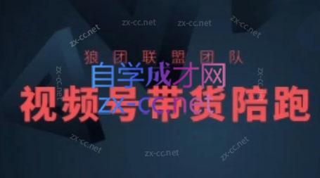 狼团联盟·2024视频号带货-轻资本网