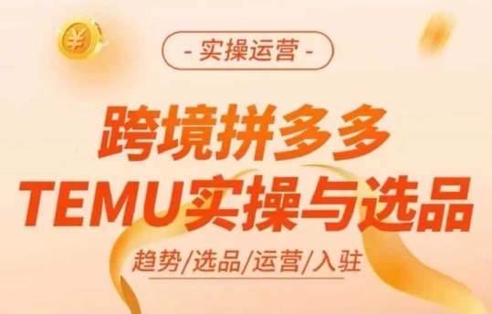 跨境拼多多TEMU实操与选品，多多temu跨境选品运营实操-轻资本网
