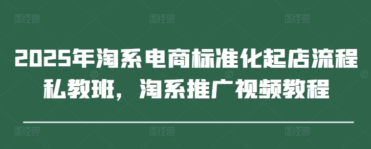 2025年淘系电商标准化起店流程私教班，淘系推广视频教程-轻资本网