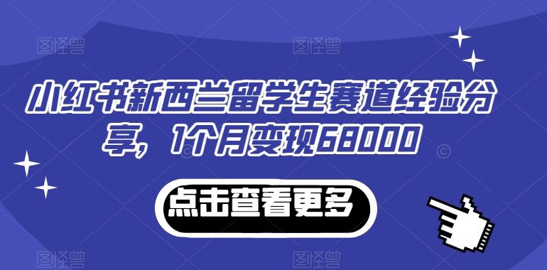 小红书新西兰留学生赛道经验分享，1个月变现68000【揭秘】-轻资本网