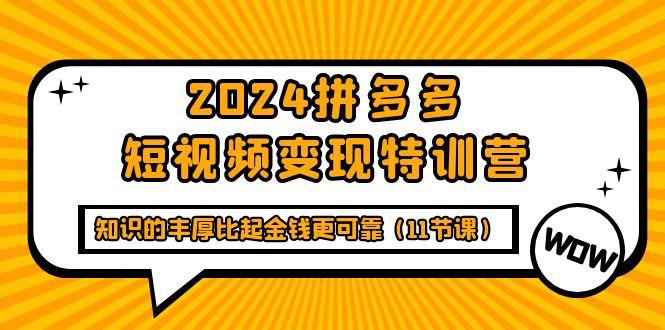 (9817期)2024拼多多短视频变现特训营，知识的丰厚比起金钱更可靠(11节课)-轻资本网