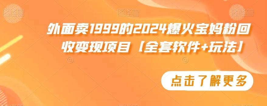外面卖1999的2024爆火宝妈粉回收变现项目【全套软件+玩法】【揭秘】-轻资本网