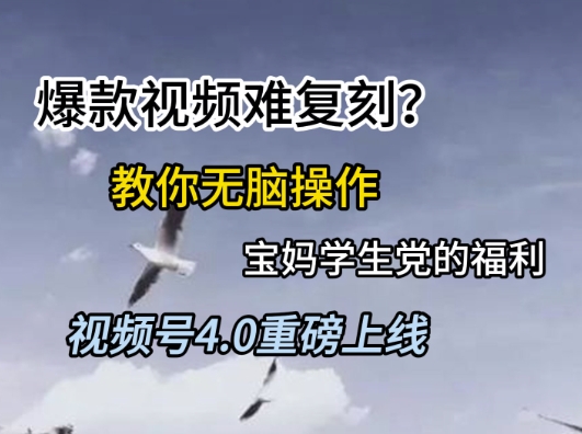 视频号4.0重磅上线，爆款视频难复刻？教你无脑操作宝妈学生党的福利【揭秘】-轻资本网