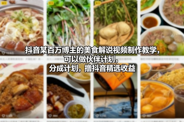 抖音某百万博主的美食解说视频制作教学，可以做伙伴计划，分成计划，撸抖音精选收益-轻资本网