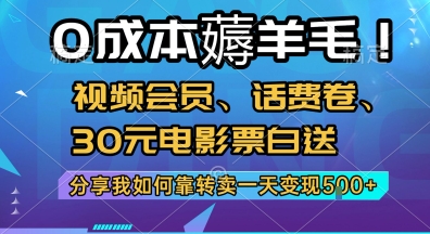 0成本薅羊毛!视频会员、话费卷、30元电影票白送，分享我如何靠转卖一天变现5张+【揭秘】-轻资本网