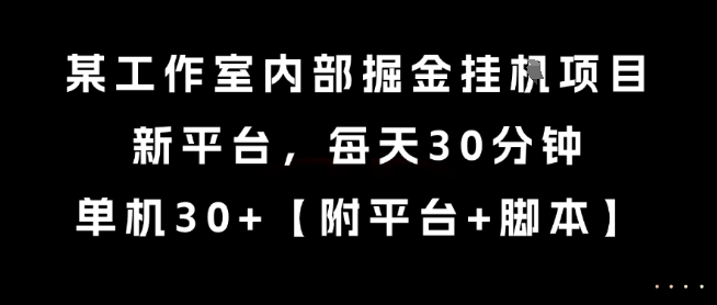 某工作室内部掘金挂G项目，新平台，每天30分钟，单机30+【揭秘】-轻资本网