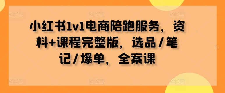 小红书1v1电商陪跑服务，资料+课程完整版，选品/笔记/爆单，全案课-轻资本网
