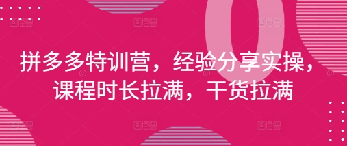 拼多多特训营，经验分享实操，课程时长拉满，干货拉满(更新25年4月)-轻资本网