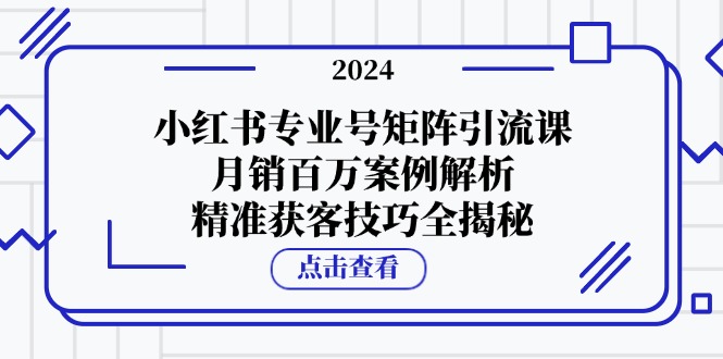 小红书专业号矩阵引流课，月销百万案例解析，精准获客技巧全揭秘-轻资本网