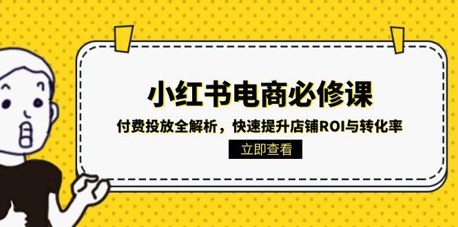 小红书电商必修课：付费投放全解析，快速提升店铺ROI与转化率-轻资本网