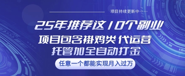 25年推荐这10个副业项目包含褂鸡类、代运营托管类、全自动打金类【揭秘】-轻资本网