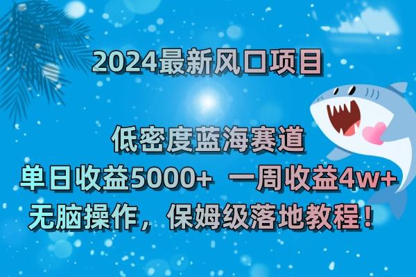 (8545期)2024最新风口项目 低密度蓝海赛道，日收益5000+周收益4w+ 无脑操作，保...-轻资本网