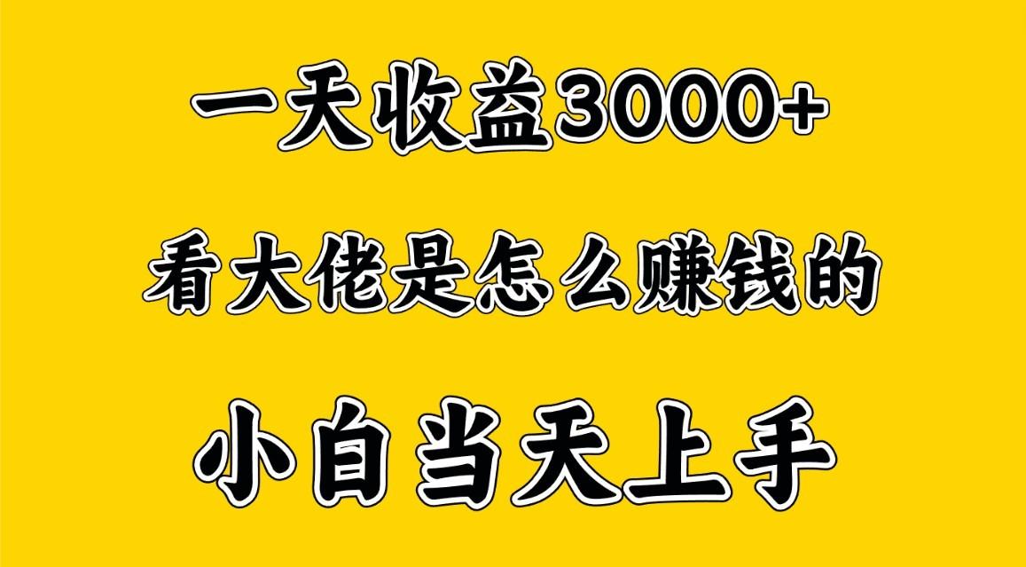 一天赚3000多，大佬是这样赚到钱的，小白当天上手，穷人翻身项目-轻资本网
