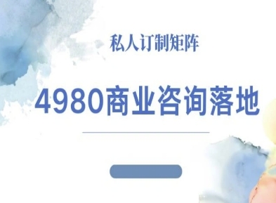 4980商业咨询师落地课程-ip运营高客单教程-轻资本网