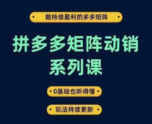 拼多多矩阵动销系列课，能持续盈利的多多矩阵，0基础也听得懂，玩法持续更新-轻资本网