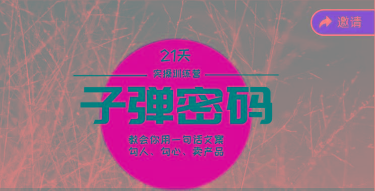 《子弹密码训练营》-用一句话文案勾人勾心卖产品，21天学到顶尖文案大师策略和技巧-轻资本网