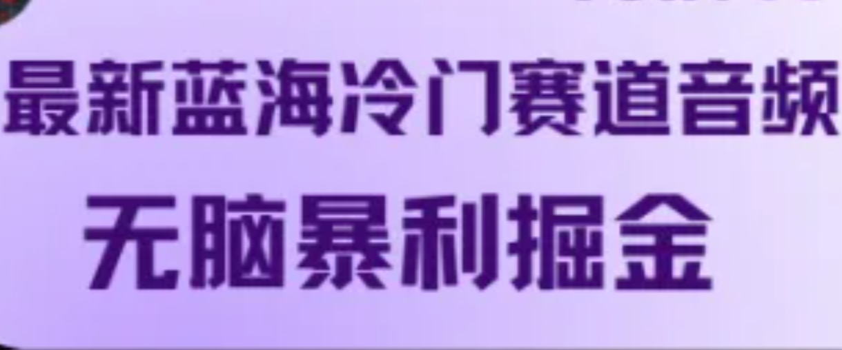 最新蓝海冷门赛道音频，无脑暴利掘金-轻资本网