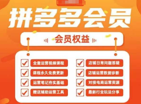 2025拼多多运营实战课，40节全流程教学，覆盖拼多多运营全链路-轻资本网