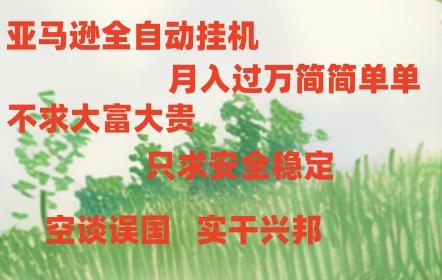 亚马逊全自动浏览挂机，，收益稳定且前景广阔-轻资本网