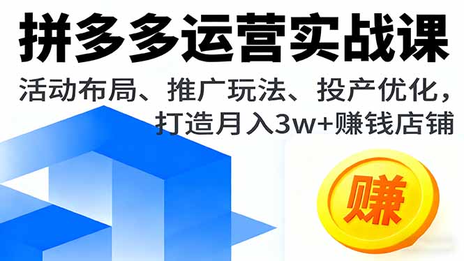拼多多运营实战课，活动布局、推广玩法、投产优化，打造月入3w+赚钱店铺-轻资本网