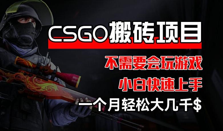 CSGO 装备搬砖项目，操作简单，不需要会玩游戏，小白也能快速上手，一个月轻松大几千【揭秘】-轻资本网