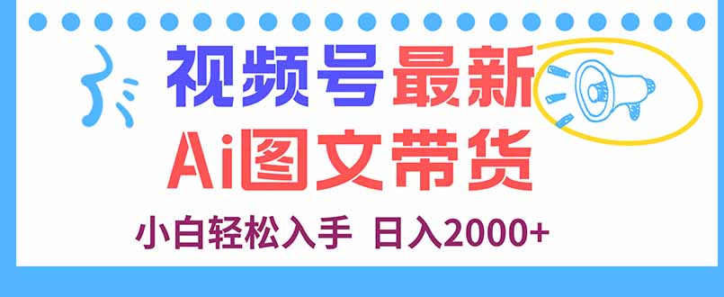 视频号最新AI图文带货，每天几分钟，小白轻松入手，日入2000+-轻资本网