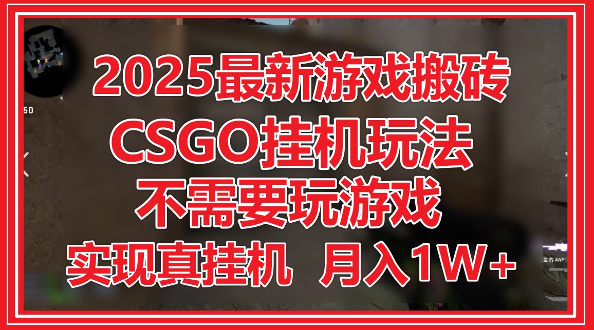 2025最新游戏搬砖，CSGO挂机，不需要玩游戏，实现真挂机，月入1W+-轻资本网