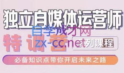 博老师·2024独立自媒体运营师特训营-轻资本网